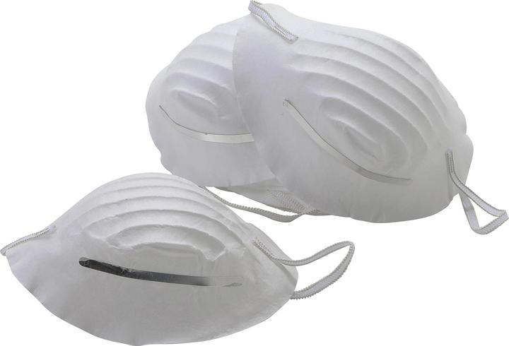 Actual product image BGS Hygiene Masks | 10 pcs. (10 x)