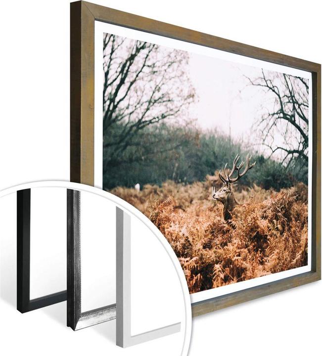 Image du produit Trenddeko Dans la forêt (40 x 30 cm)