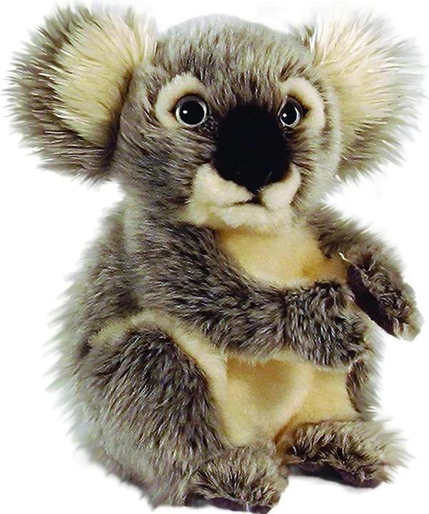 Keel koala (20 cm)
