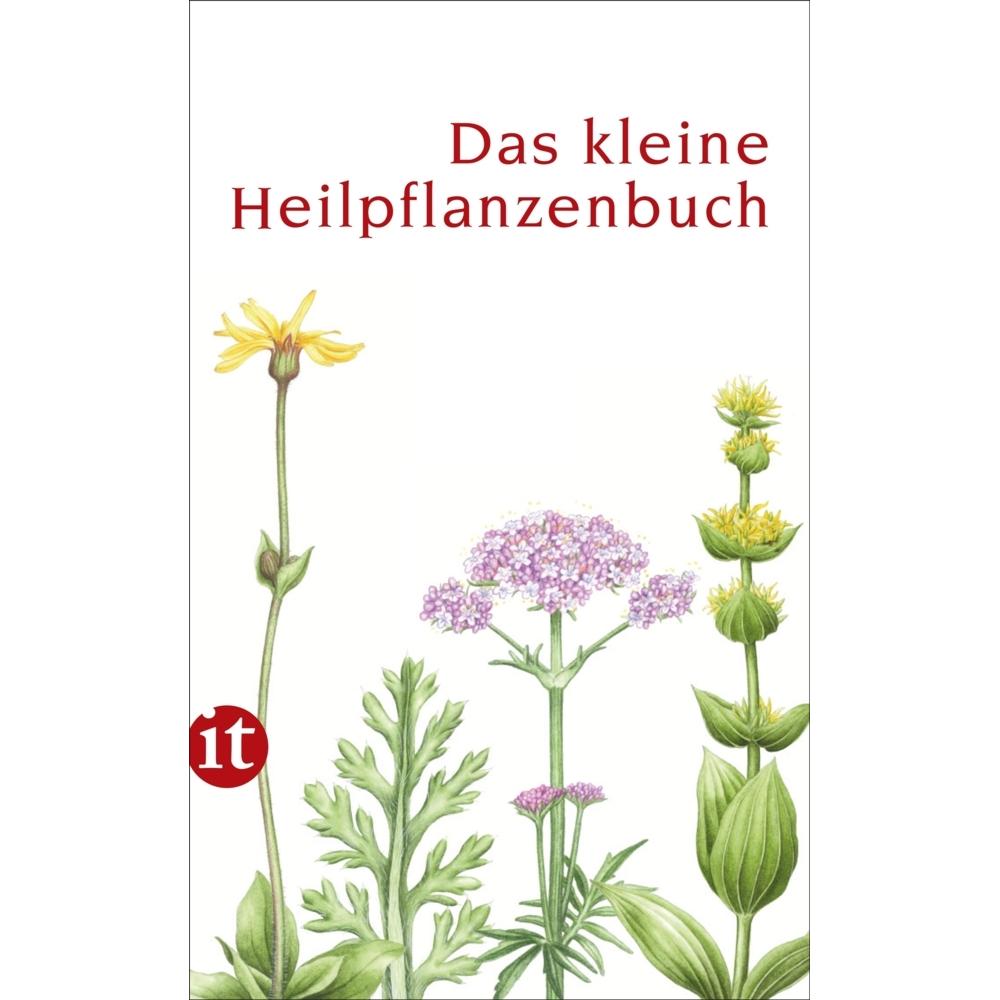 Thumbnail - Das kleine Heilpflanzenbuch, Ratgeber von Catrin Cohnen