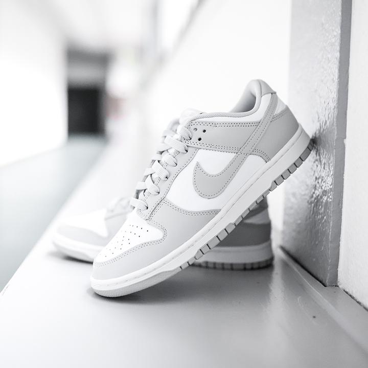 Image du produit Nike Dunk Low (41)