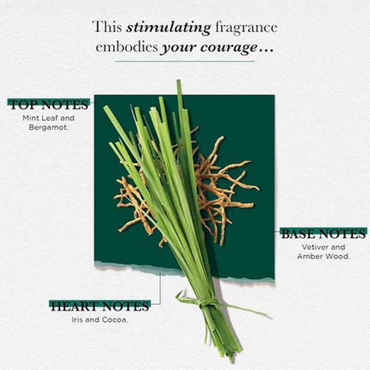 Actual product image Solinotes Vétiver Eau de Parfum (Eau de parfum, 50 ml)