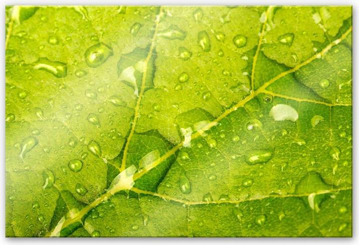 Actual product image Trenddeko Water beads (60 x 40 cm)