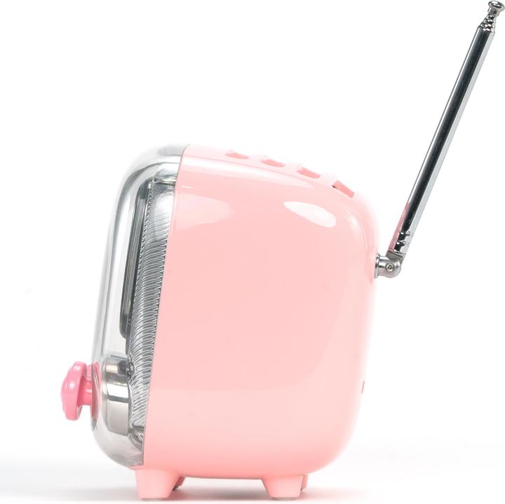 Actual product image Divoom Tiivoo-2 pink