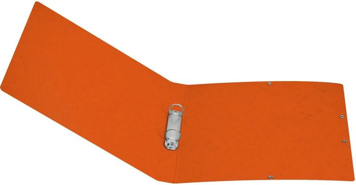 Actual product image Herlitz Folder & Register Ring binder (A4, 25 mm, 1 pcs.)