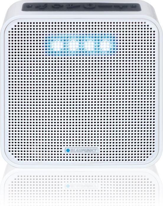 Actual product image Blaupunkt Pva 100 (Electrical connection)