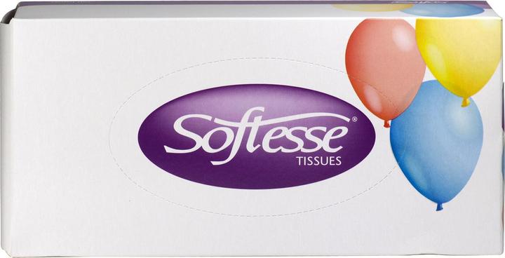 Actual product image Softesse Paper handkerchiefs (pack of 150)