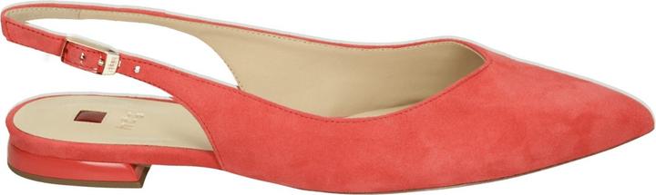 Actual product image Högl Ballerinas (38)