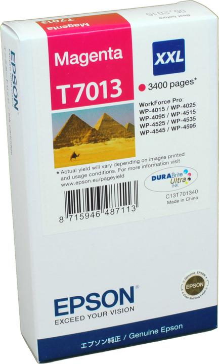 Epson T7013 (M)