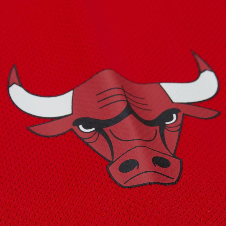 Produktbild Mitchell & Ness M&N Hockey Jersey Chicago Bulls Dennis Rodman - XL (XL)