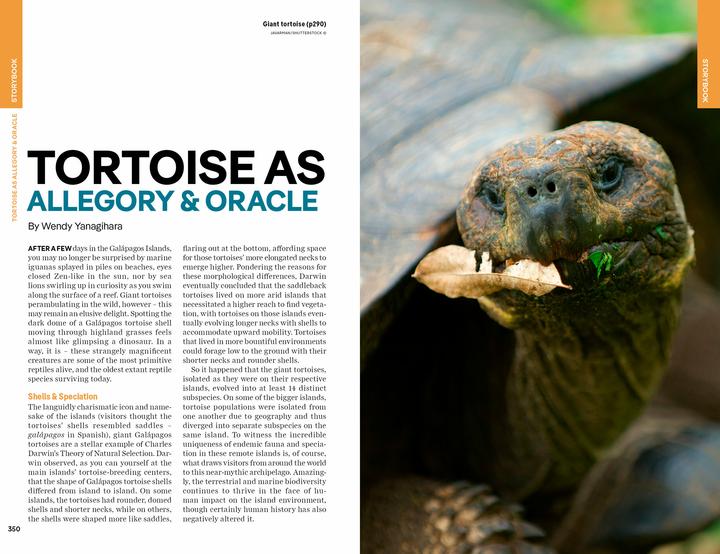 Actual product image Ecuador & the Galapagos Islands (English, Alex Egerton, Brand Eveleigh, Marisa Paska, Trent Holden, Wendy Yanagihara, 2024)