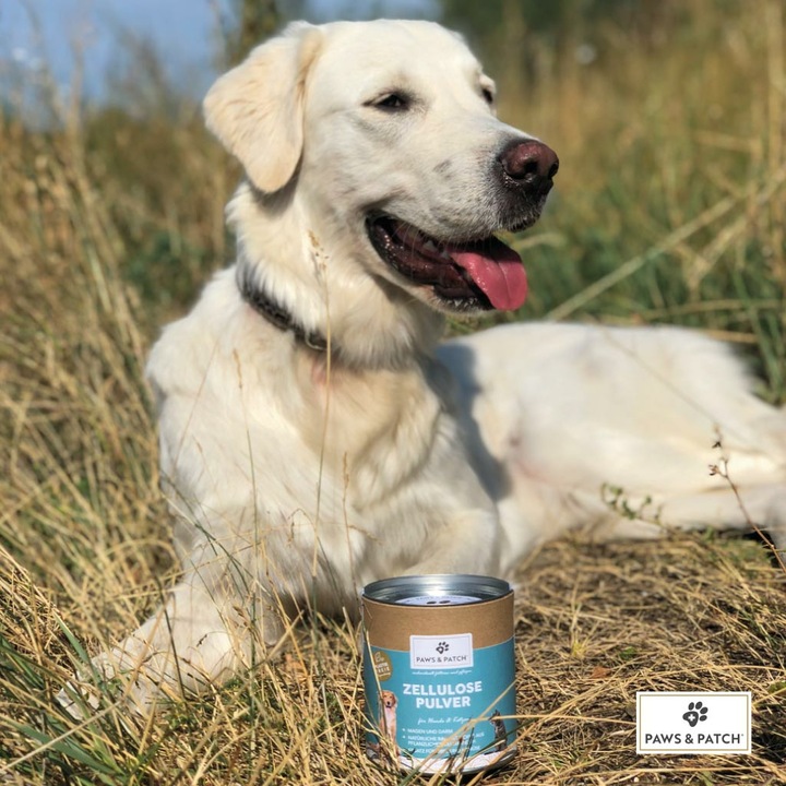 Produktbild Paws & Patch Paws and Patch Zellulose Pulver Hunde/Katzen (Adult, 1 Stk., 250 g)
