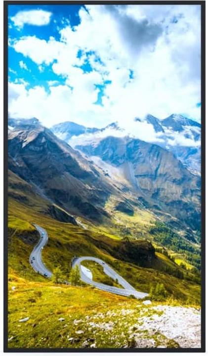 Hisense Espositore semi-esterno 75WF45H (3840 x 2160 pixel, 75")