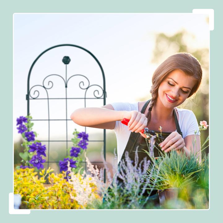 Actual product image Relaxdays Garden Trellis Set of 2 (1.50 cm, 50 cm)