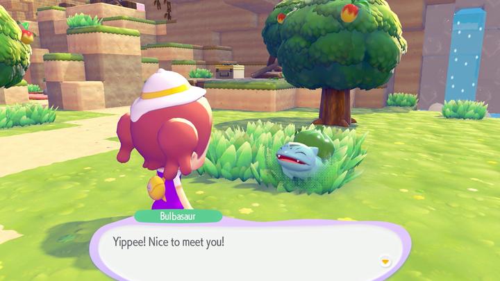 Actual product image Nintendo Pokémon Pokopia (Switch 2, EN)