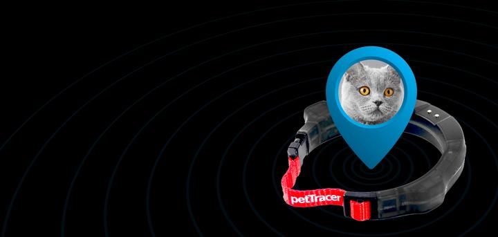 Produktbild PetTracer Katzen-GPS-Ortungsgerät (Katze, Allgemein)