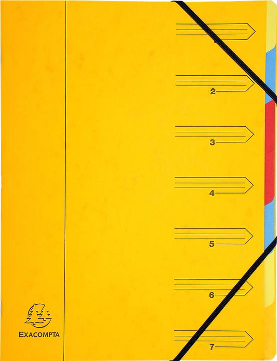 Actual product image Exacompta Stapled file folders (A4, 1x)