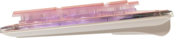 Actual product image Shark GK-003441 Tachi Pink US (US)