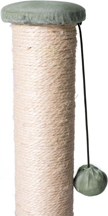 Actual product image Karlie Simon's Cat (60 cm, Brown, Green)