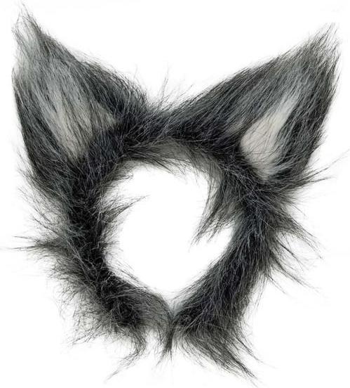 Produktbild Widmann 80er Jahre Trainingsanzug (L)