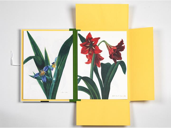 Flower Prints (45 x 32 cm)