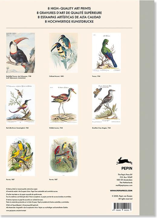 Tropical Bird Prints (45 x 32 cm)