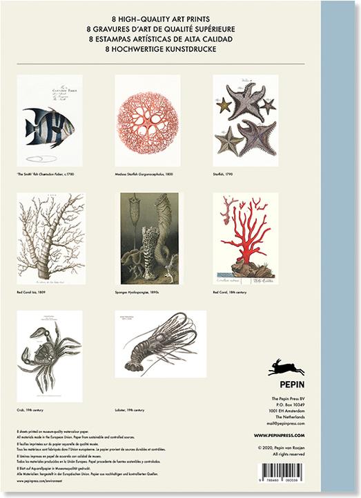 Marine Prints (45 x 32 cm)