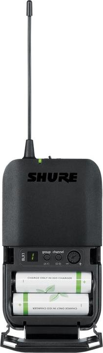Actual product image Shure BLX14E/SM31-M17