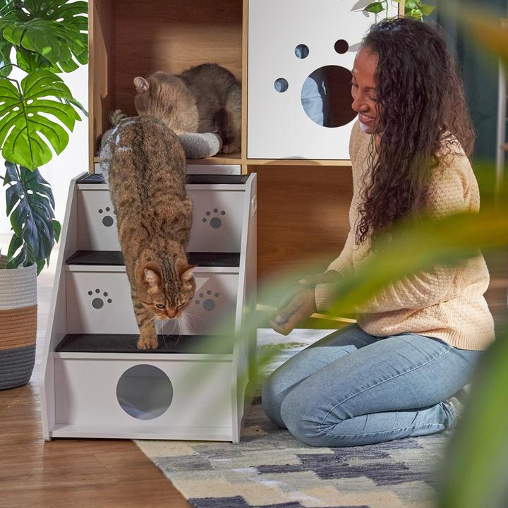 Actual product image Relaxdays pet stairs (Dog, Foldable, Can be opened completely)