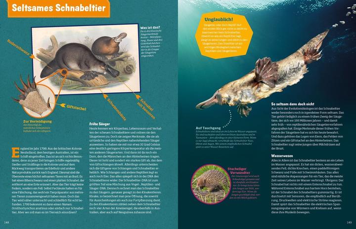 Actual product image Tessloff WAS IST WAS Abenteuer Evolution. Das Wunder des Lebens (German, Manfred Baur, 2020)