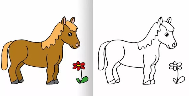 Produktbild Mein erstes dickes buntes Malbuch