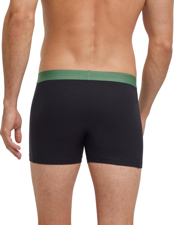 Produktbild Falke 2-Pack Herren (M, 2er Pack)
