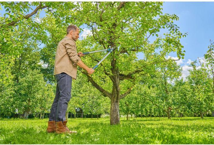 Produktbild Gardena Astschere EasyCut L