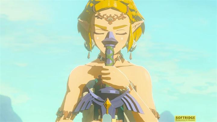 Actual product image Nintendo The Legend of Zelda: Tears of the Kingdom (Switch, Switch Lite, Switch OLED, DE, IT, FR, EN)