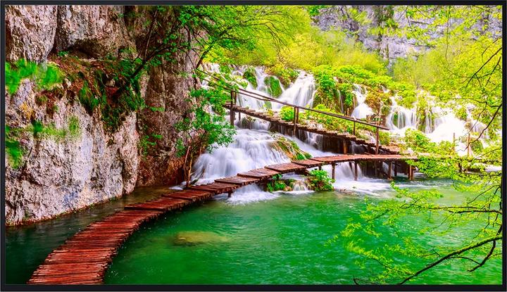 Image du produit Panasonic VIERA TH -55CQE2W - téléviseur LCD - 139,7cm/55" - 500 cd/m² 200:1 (3840 x 2160 pixels, 55")