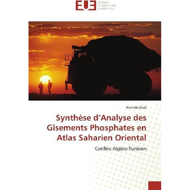 Synthèse d'Analyse des Gisements Phosphates en Atlas Saharien Oriental, Fachbücher von Hamida Diab