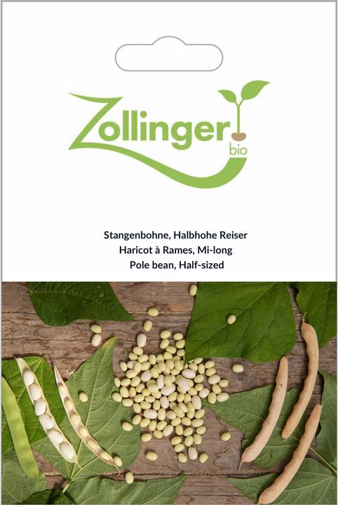 Actual product image Zollinger Bio Runner bean, half-high runner (runner bean) (Seedlings)