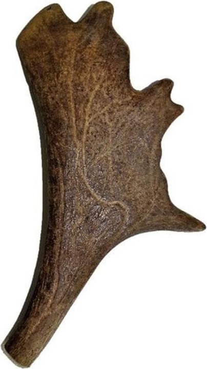 Produktbild Kyli Hirschgeweih Dammwild (Adult, 1 Stk., 200 g)