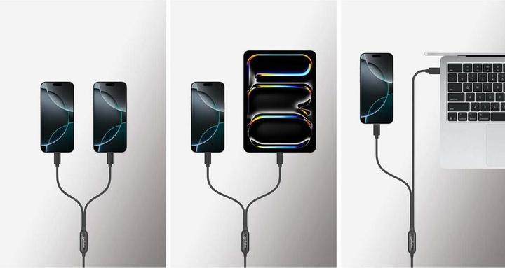 Actual product image Manhattan Dual USB-C Ladekabel 100 W, 2 m (2 m, USB 3.0, 100 W)