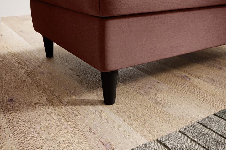 Image du produit ELTAP Bellis