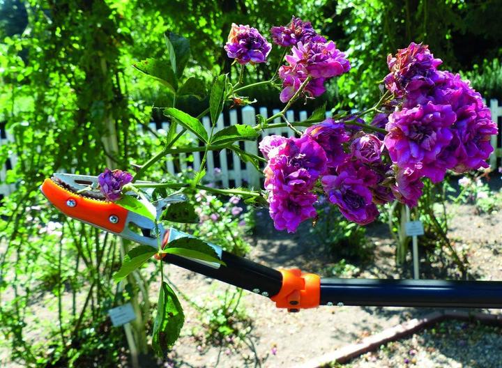 Actual product image Primus Rose shears, telescopic, 01410