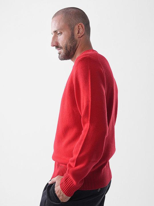 Actual product image Lacoste Pullover (XL)