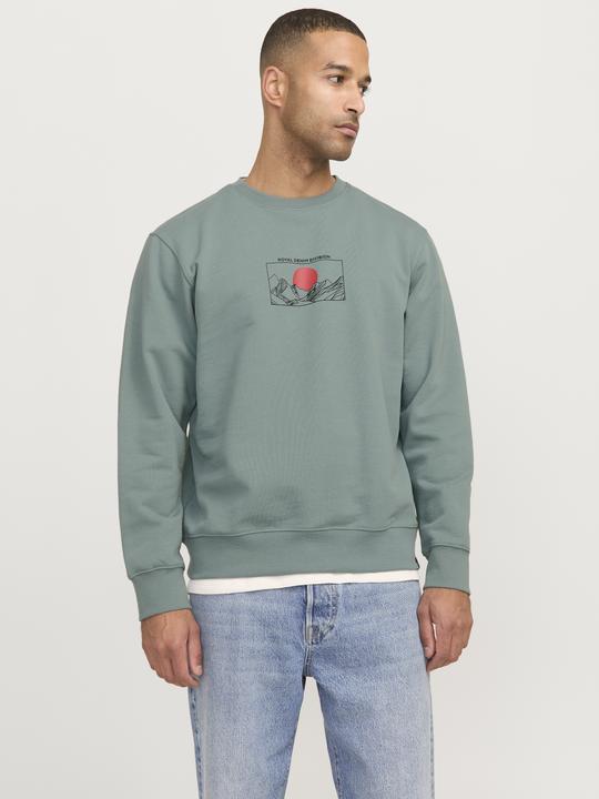 Actual product image Jack & Jones Rddadam Sweat Crew Neck Sn (M)