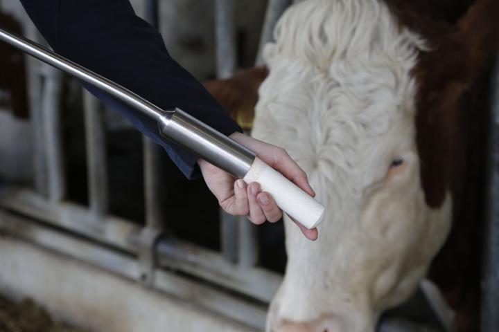 Actual product image Magni Ket-o-Vital Bolus, energy bolus, 4 boluses/package