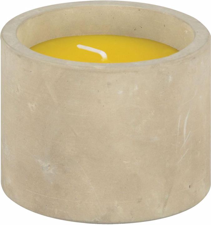 Produktbild Esschert Design Gartenkerze Citronella im Betontopf (1 Stk.)