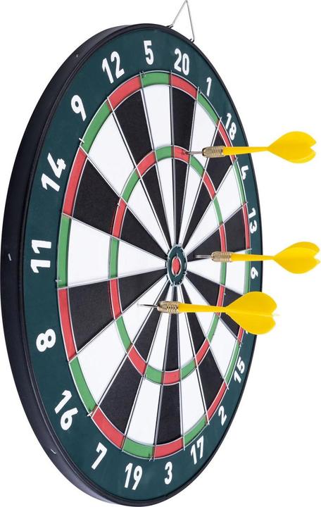 Actual product image Longfield Darts Magnetic Dartboard Double Sided Animals