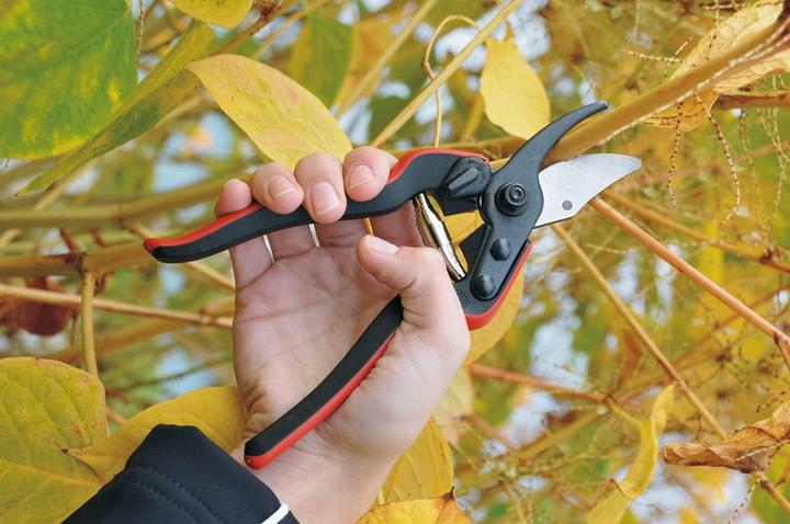 Image du produit Felco Sécateurs