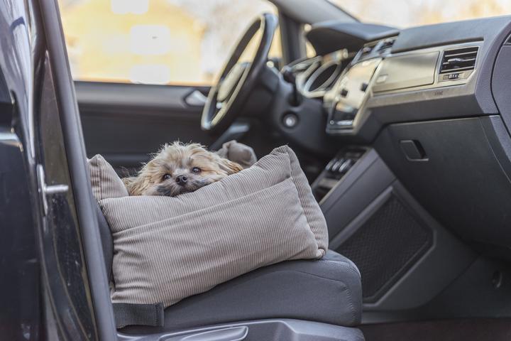 Actual product image Trixie Car Seat, 55 × 50 × 30 cm, taupe (Dog)