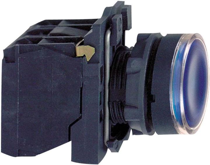 Actual product image Schneider Electric Ill Pushbutton round Blue 1NO/1NC 220V