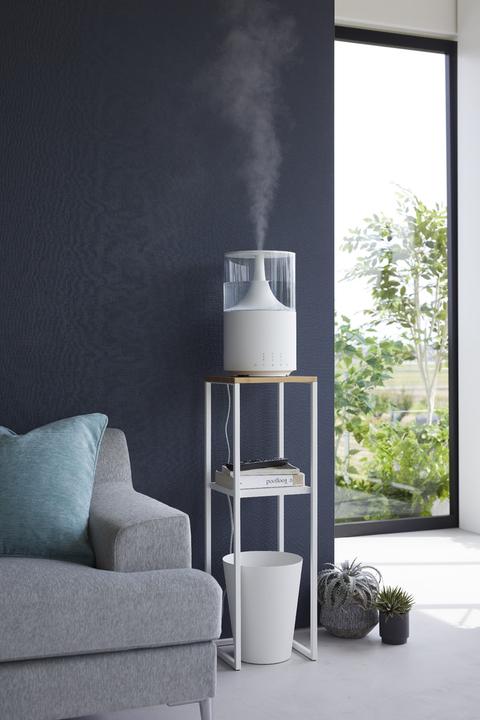 Actual product image Yamazaki 2-tier shelf with wooden top TOWER